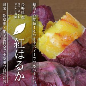 やよい農園べにはるか