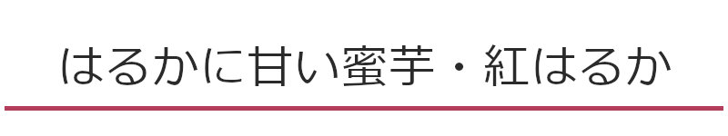 はるかに甘い蜜芋 紅はるか