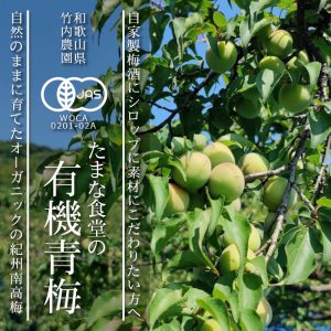 たまな食堂の有機青梅