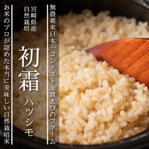宮崎県産ハツシモ