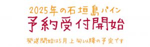 2025年予約受付開始